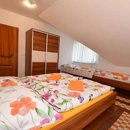Ubytovanie Dita Vendégház Červený Kláštor Kültér fotó